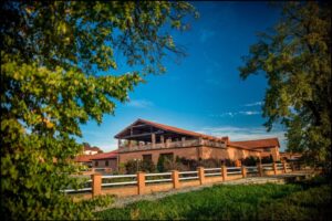 Villa-Natura-4